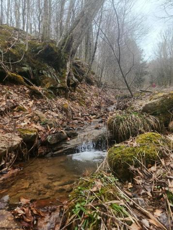 9 Harper Trail Valley Bend WV 26293