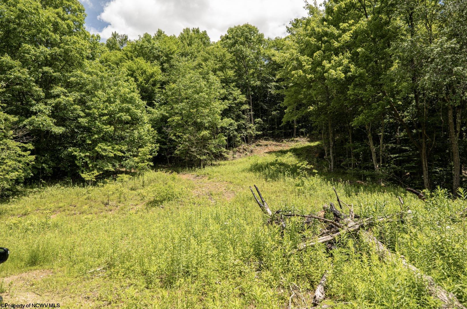 14 Lake Island Drive Belington WV 26250
