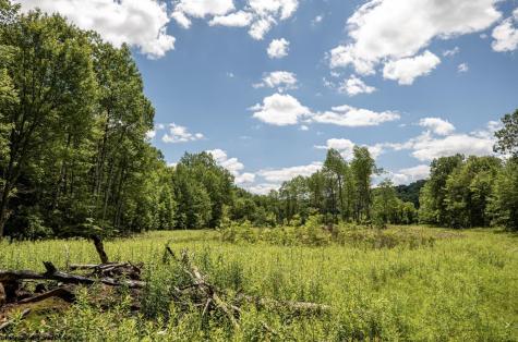 14 Lake Island Drive Belington WV 26250