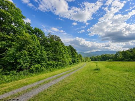 8 Iron Horse Lane Dryfork WV 26263