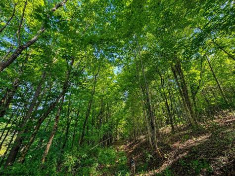 8 Iron Horse Lane Dryfork WV 26263