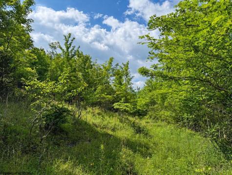 8 Iron Horse Lane Dryfork WV 26263