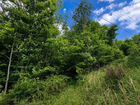 8 Iron Horse Lane Dryfork WV 26263