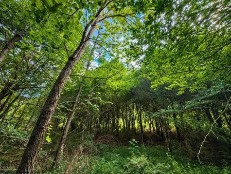 8 Iron Horse Lane Dryfork WV 26263