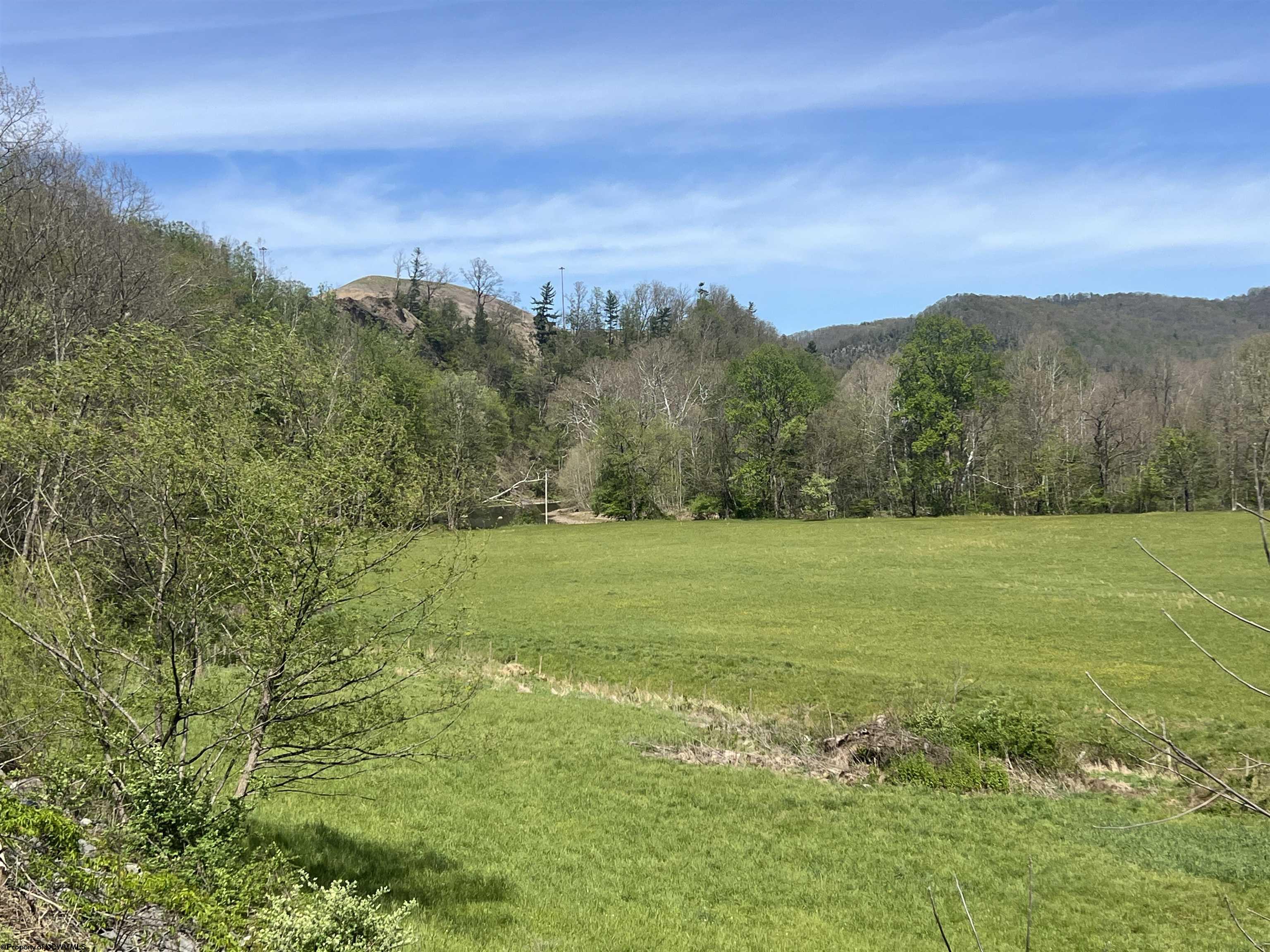 0 Cheat Valley Highway Parsons WV 26287