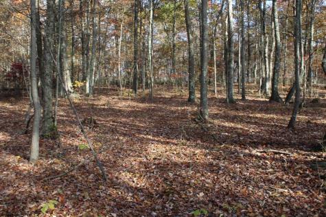 6 Cascade Ridge Masontown WV 26542
