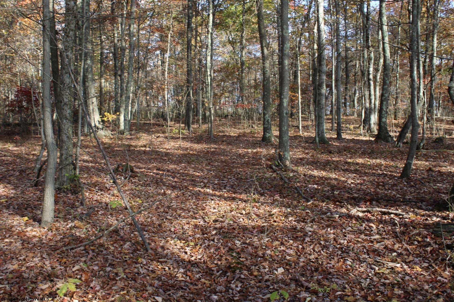 6 Cascade Ridge Masontown WV 26542