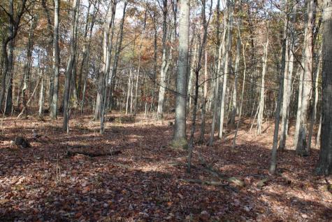 6 Cascade Ridge Masontown WV 26542