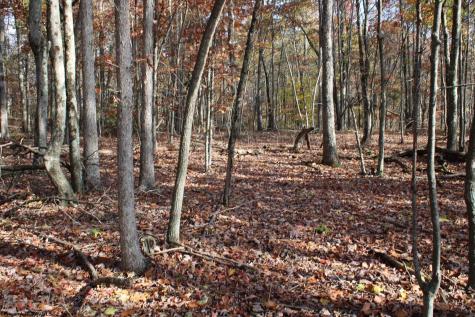 6 Cascade Ridge Masontown WV 26542