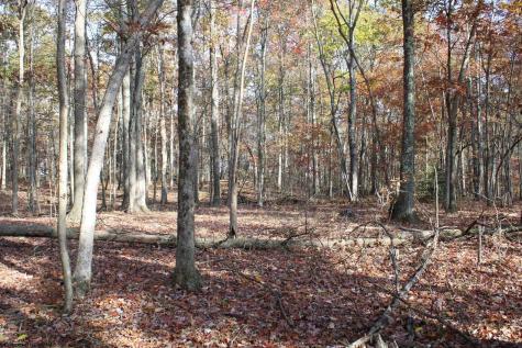 6 Cascade Ridge Masontown WV 26542