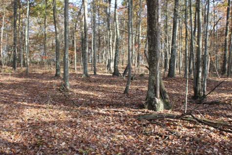 6 Cascade Ridge Masontown WV 26542