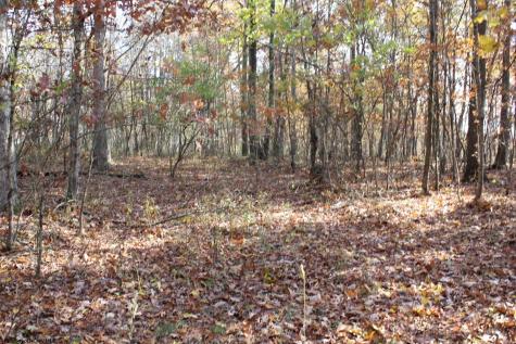 6 Cascade Ridge Masontown WV 26542