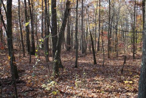 6 Cascade Ridge Masontown WV 26542