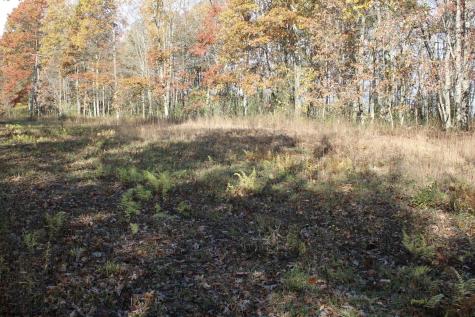 6 Cascade Ridge Masontown WV 26542