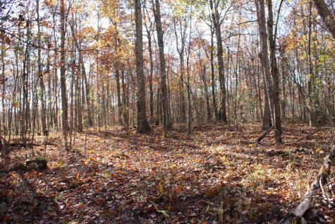 6 Cascade Ridge Masontown WV 26542