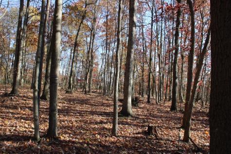 6 Cascade Ridge Masontown WV 26542