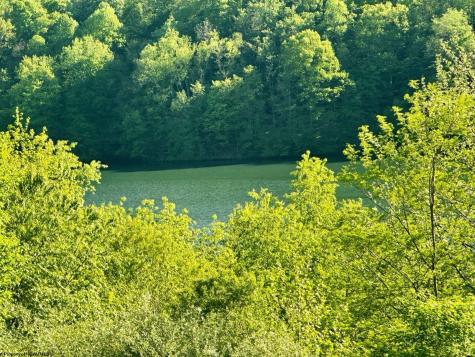 570 Lakeview Drive Horner WV 26372