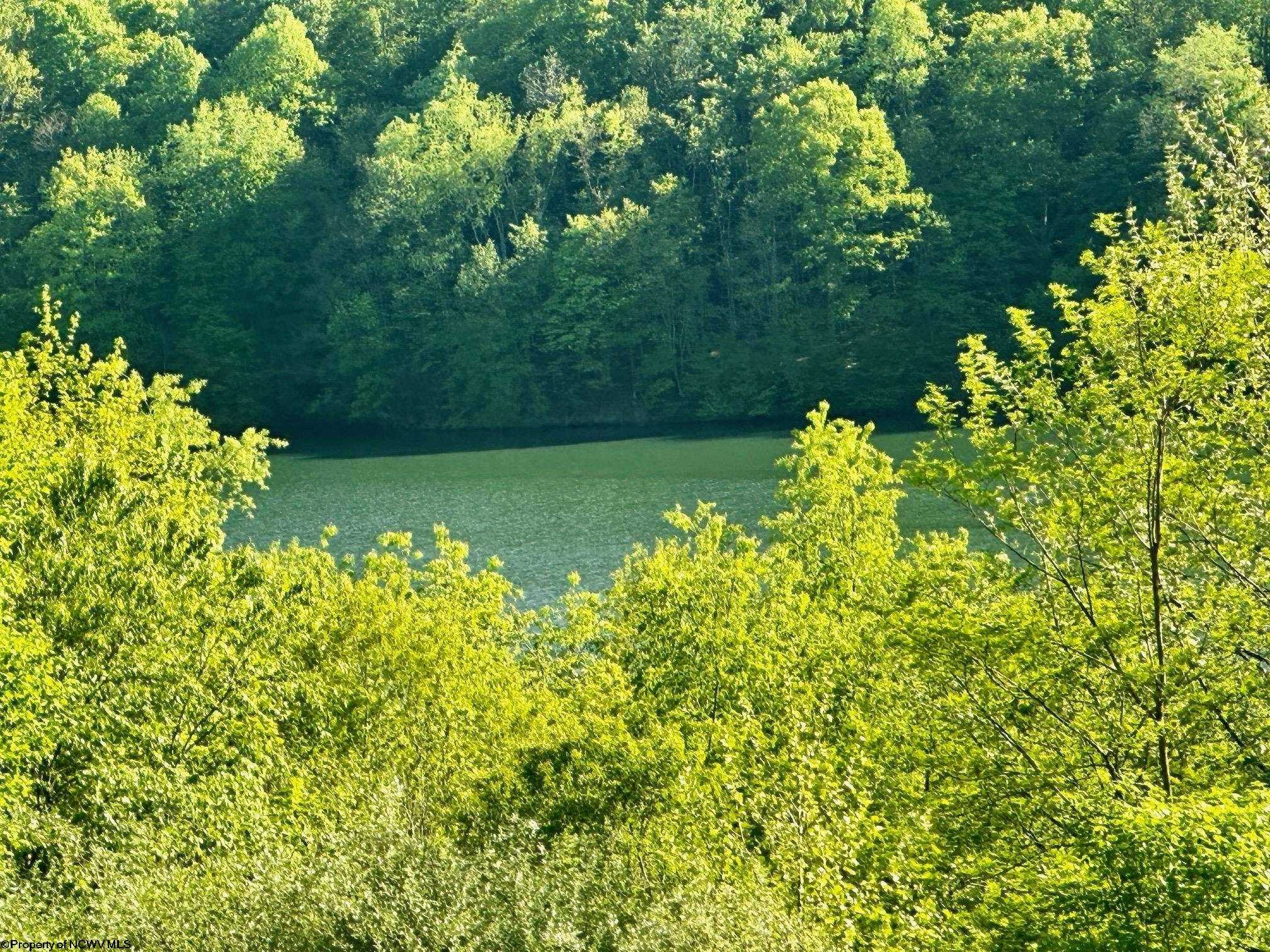 570 Lakeview Drive Horner WV 26372