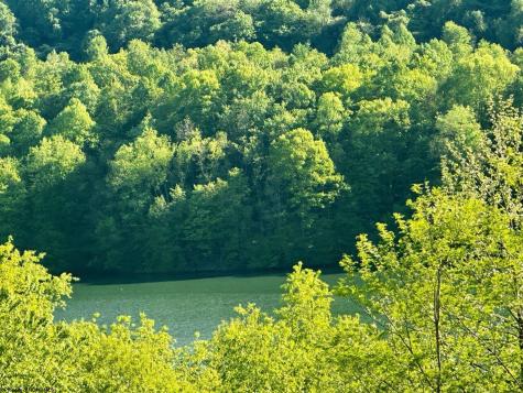 570 Lakeview Drive Horner WV 26372