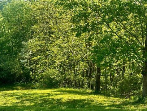570 Lakeview Drive Horner WV 26372