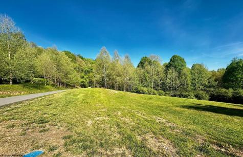 570 Lakeview Drive Horner WV 26372