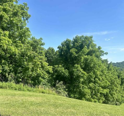 570 Lakeview Drive Horner WV 26372