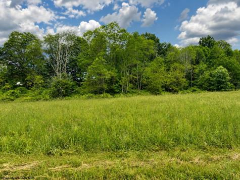 0 Iron Horse Lane Dryfork WV 26263