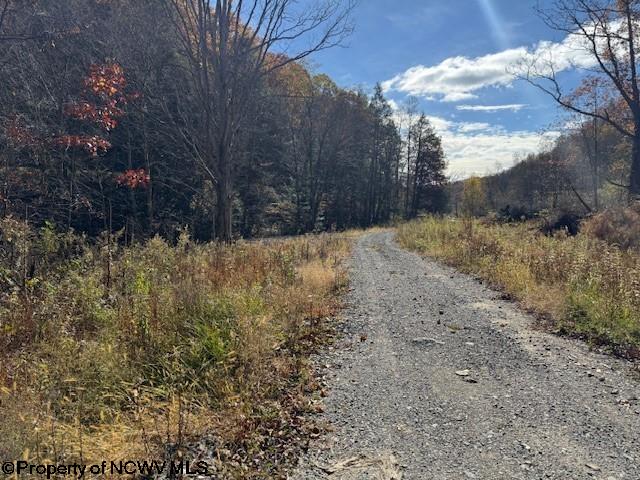 0 Adolph Road (RR) Mill Creek WV 26280