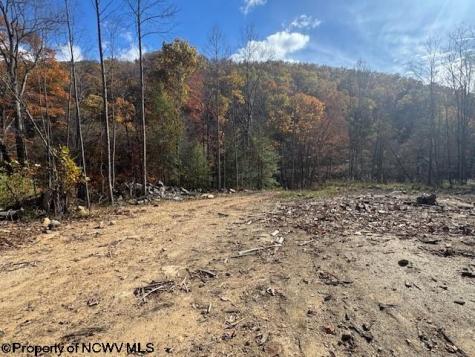 0 Adolph Road (RR) Mill Creek WV 26280