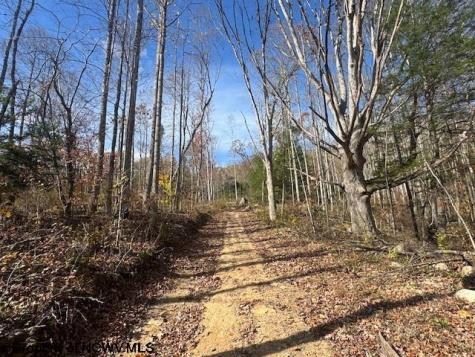0 Adolph Road (RR) Mill Creek WV 26280