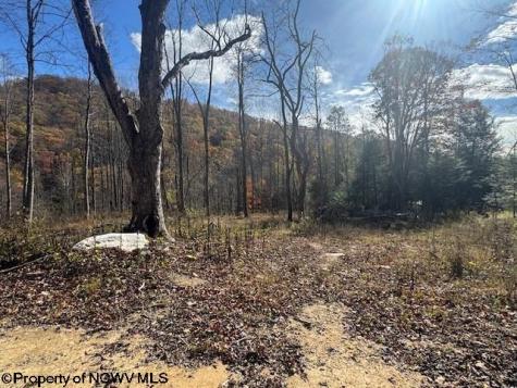 0 Adolph Road (RR) Mill Creek WV 26280