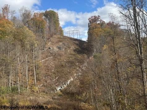 0 Adolph Road (RR) Mill Creek WV 26280