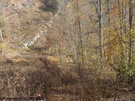 0 Adolph Road (RR) Mill Creek WV 26280