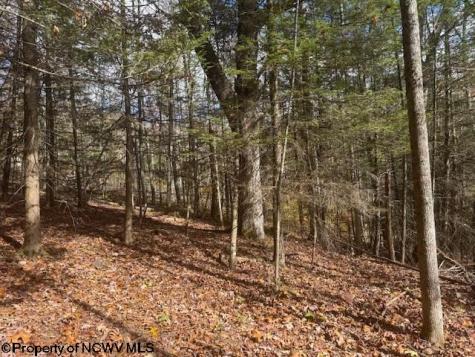 0 Adolph Road (RR) Mill Creek WV 26280