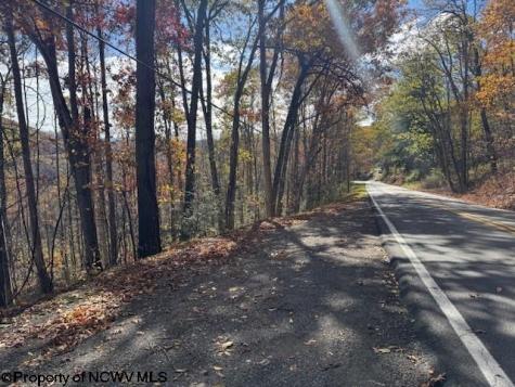 TBD Adolph Road (RR) Mill Creek WV 26280