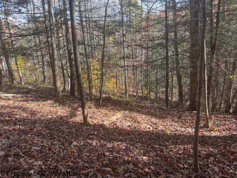 0 Adolph Road (RR) Mill Creek WV 26280