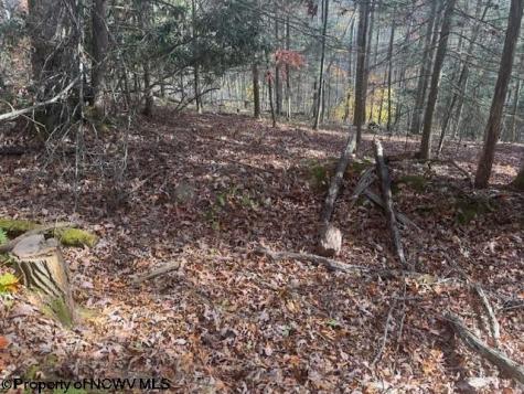 0 Adolph Road (RR) Mill Creek WV 26280