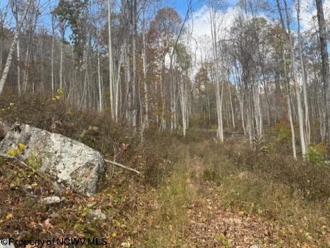 0 Adolph Road (RR) Mill Creek WV 26280