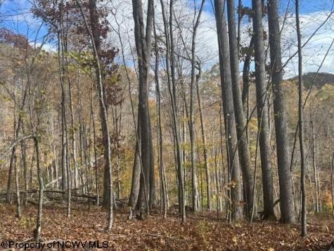 0 Adolph Road (RR) Mill Creek WV 26280