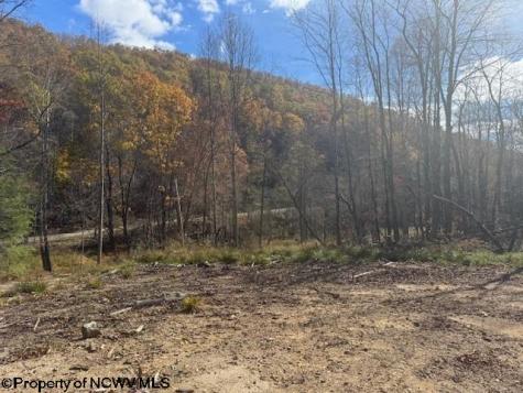0 Adolph Road (RR) Mill Creek WV 26280