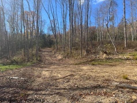 0 Adolph Road (RR) Mill Creek WV 26280