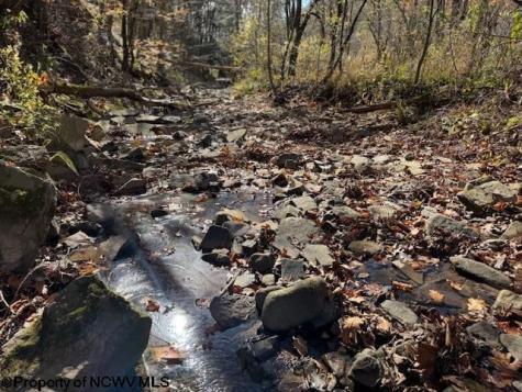 0 Adolph Road (RR) Mill Creek WV 26280