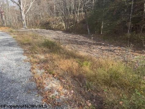 0 Adolph Road (RR) Mill Creek WV 26280