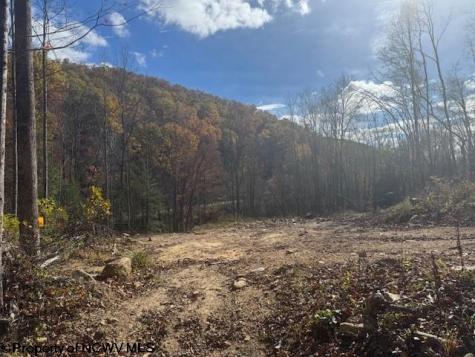 0 Adolph Road (RR) Mill Creek WV 26280