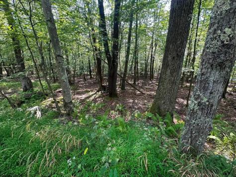 51 Beebalm Court Terra Alta WV 26764