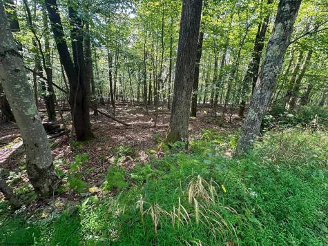 51 Beebalm Court Terra Alta WV 26764