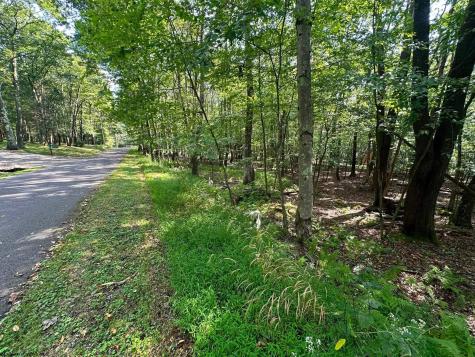 51 Beebalm Court Terra Alta WV 26764