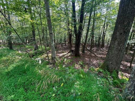 51 Beebalm Court Terra Alta WV 26764
