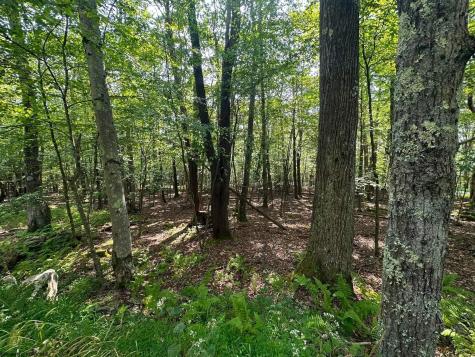 51 Beebalm Court Terra Alta WV 26764
