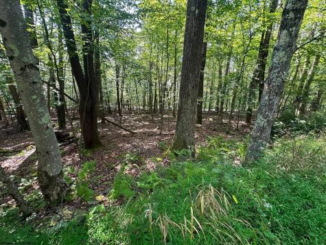 51 Beebalm Court Terra Alta WV 26764
